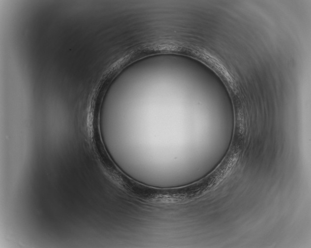 X0000103250538200809111617
