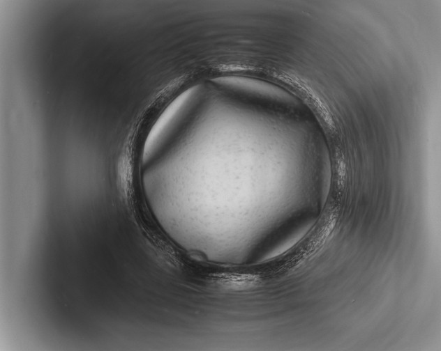 X0000103250539200809111617
