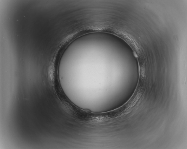 X0000103250540200809111617