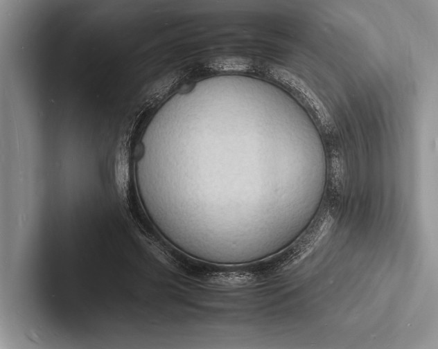 X0000103250541200809111617