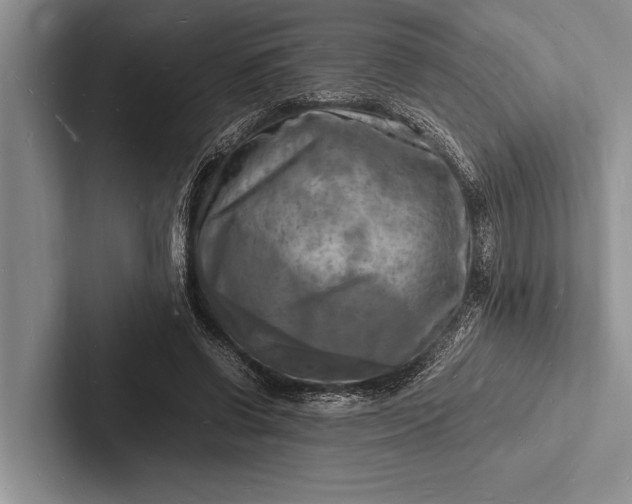 X0000103250542200809111617