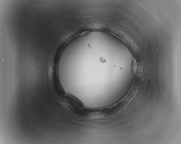 X0000103250544200809111617
