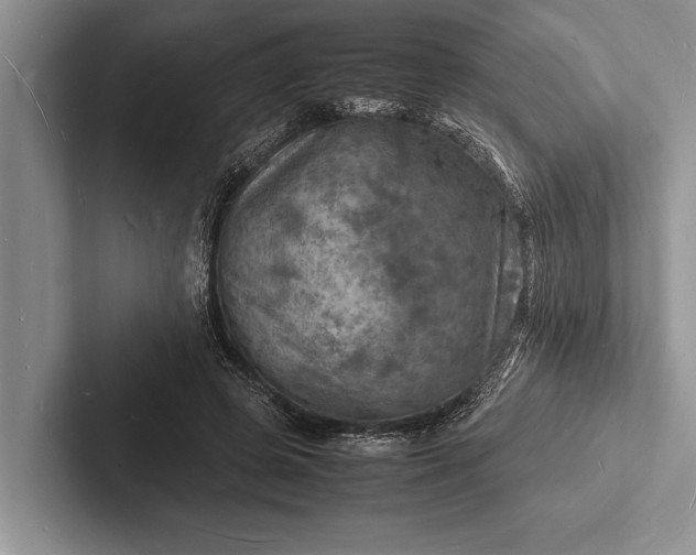 X0000103250545200809111617