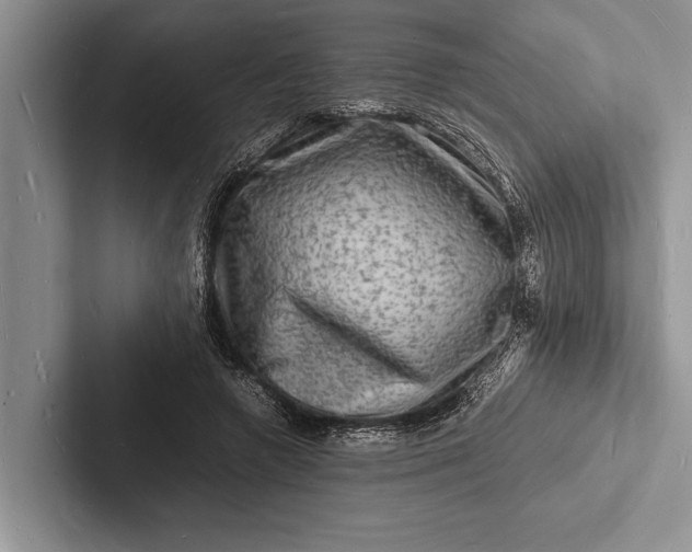X0000103250546200809111617