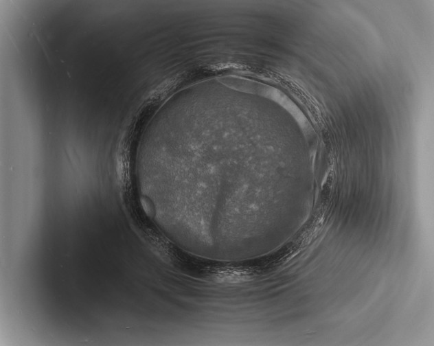 X0000103250547200809111617
