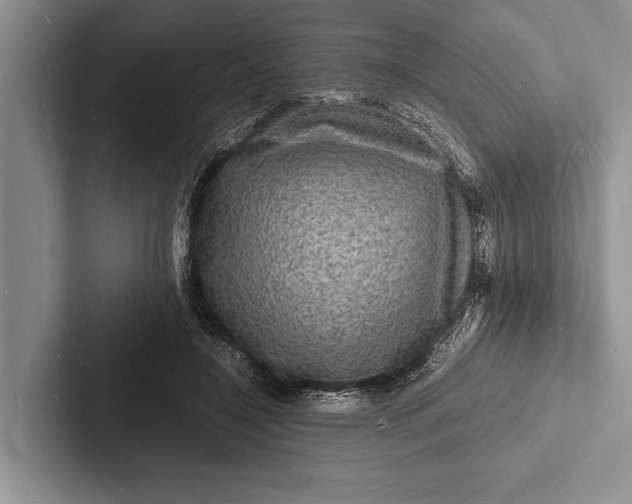 X0000103250548200809111617