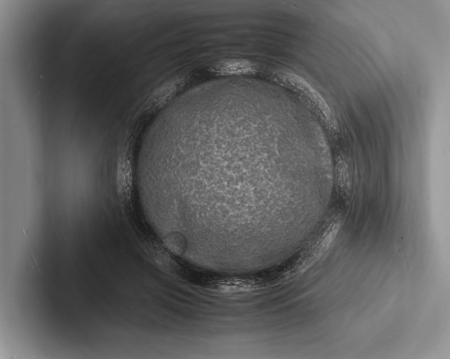 X0000103250549200809111617