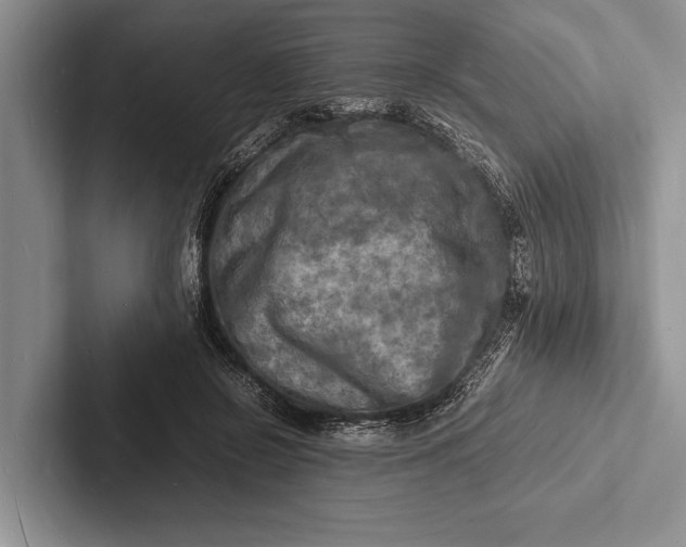 X0000103250550200809111617