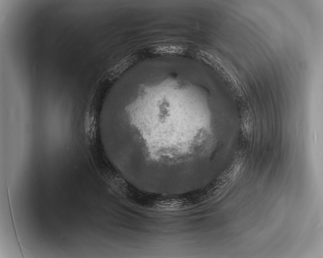 X0000103250551200809111617