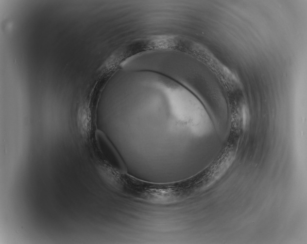 X0000103250552200809111617