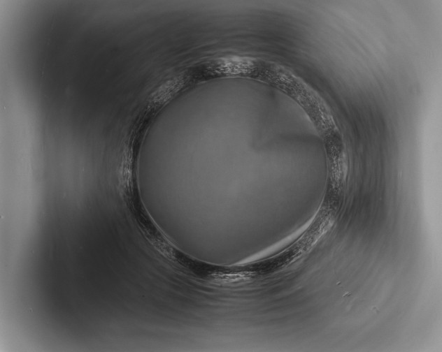 X0000103250553200809111617