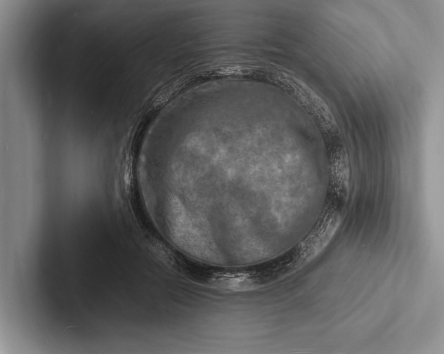X0000103250554200809111617