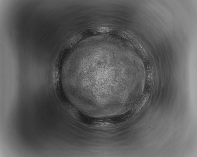 X0000103250555200809111617