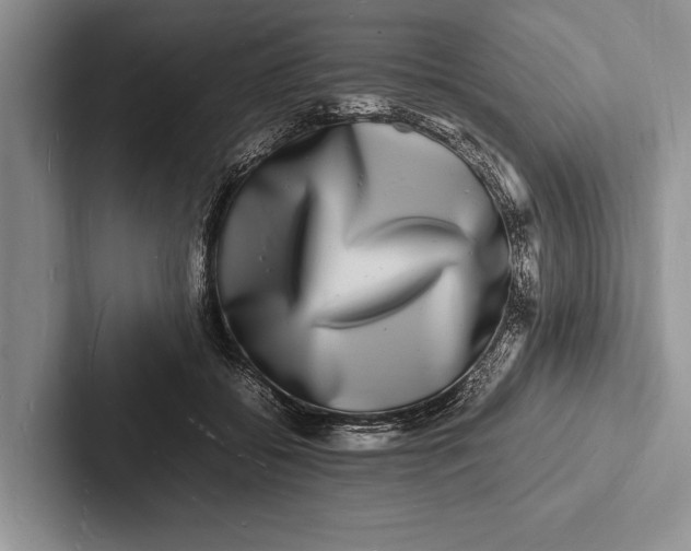 X0000103250556200809111617