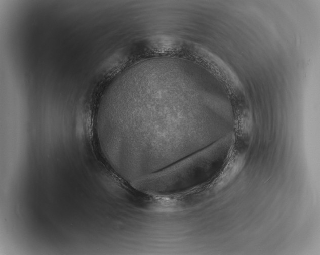 X0000103250558200809111617