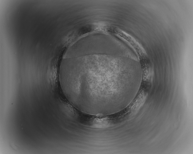 X0000103250560200809111617