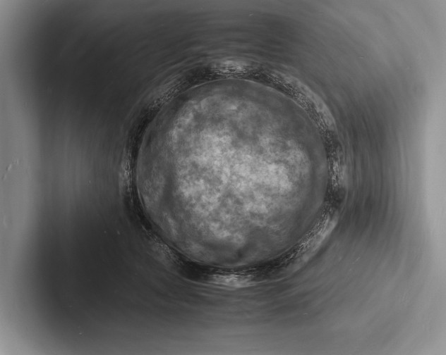 X0000103250561200809111617