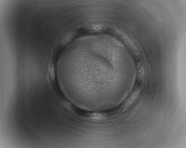 X0000103250562200809111617