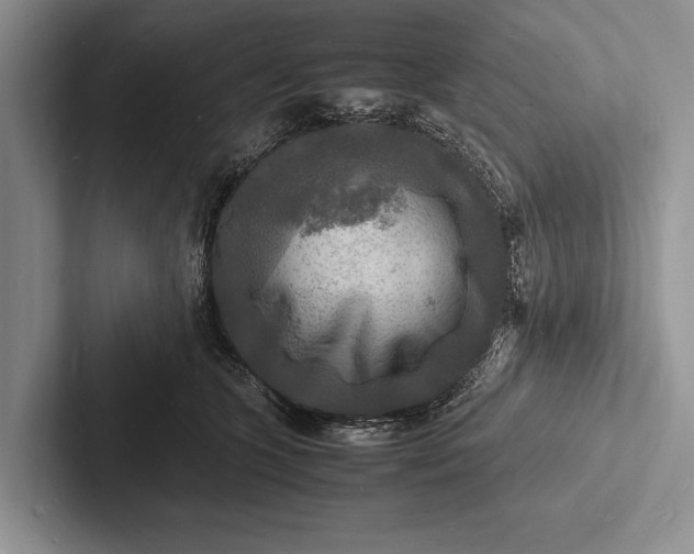 X0000103250563200809111617