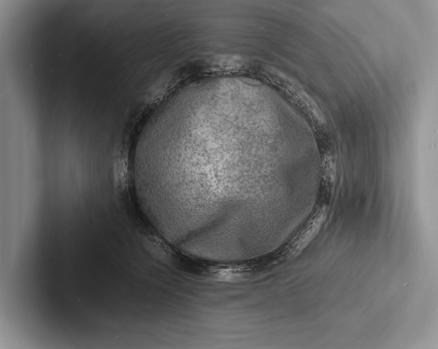 X0000103250564200809111617