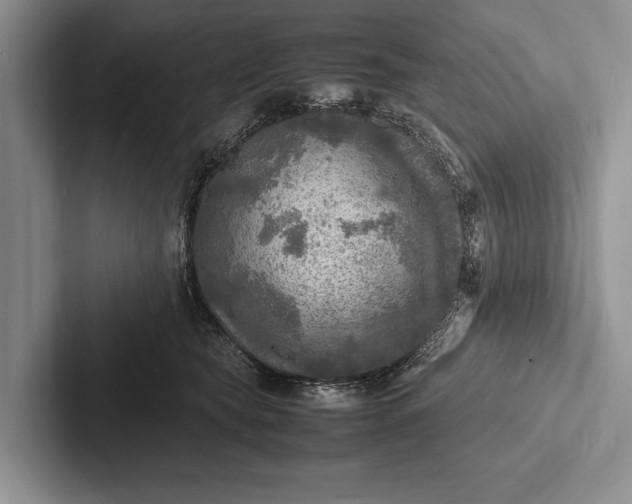 X0000103250565200809111617
