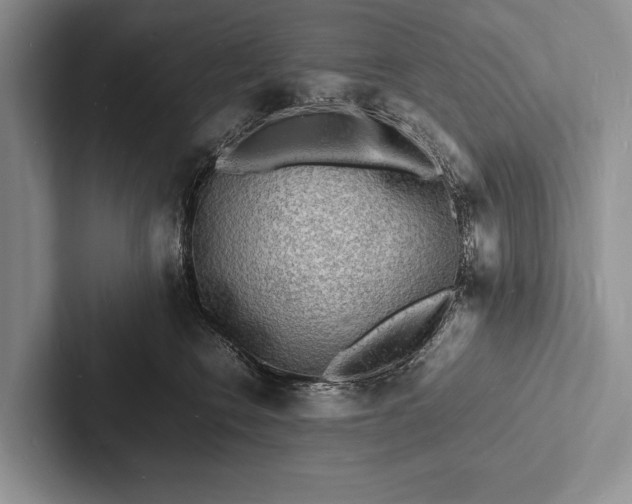 X0000103250566200809111617