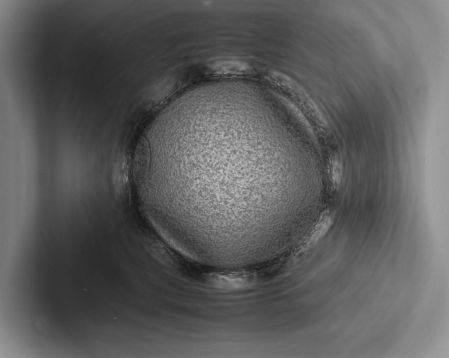 X0000103250567200809111617