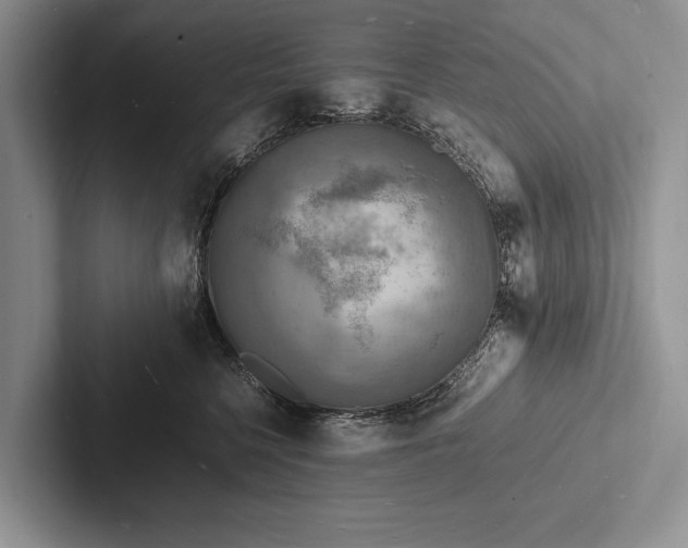 X0000103250568200809111618