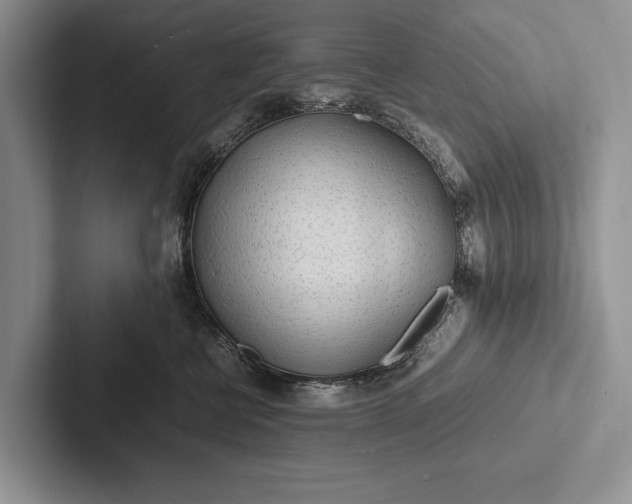 X0000103250570200809111618