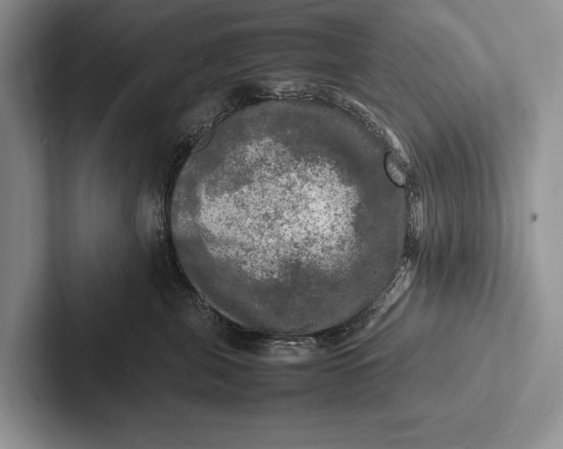 X0000103250571200809111618