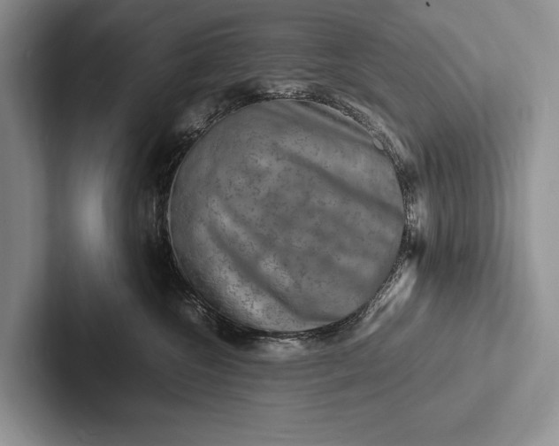 X0000103250572200809111618