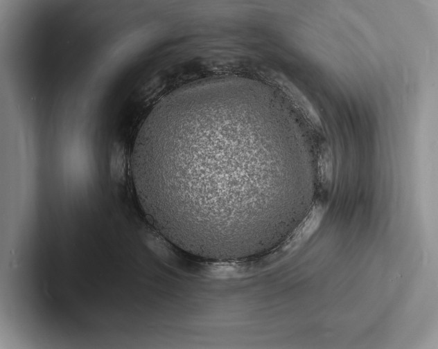 X0000103250574200809111618