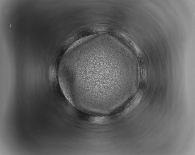 X0000103250575200809111618