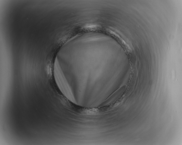 X0000103250576200809111618