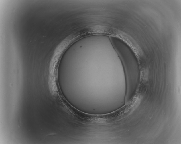 X0000103250577200809111617