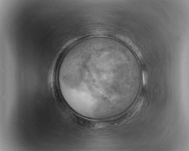 X0000103250579200809111617