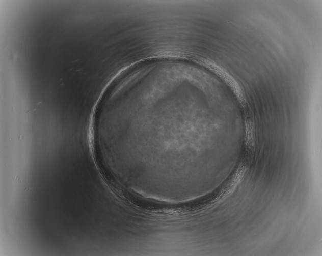 X0000103250580200809111617