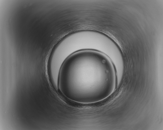 X0000103250581200809111617