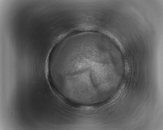 X0000103250582200809111617