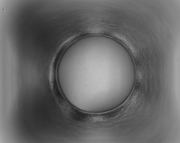 X0000103250583200809111617