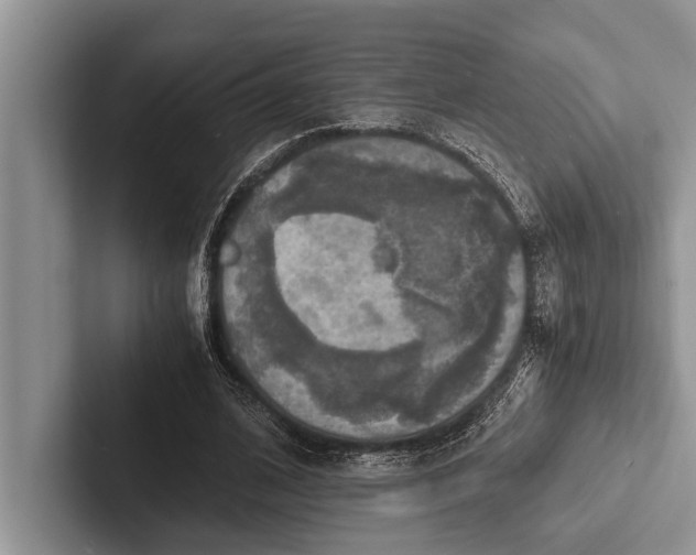 X0000103250584200809111617