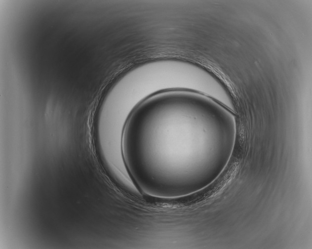 X0000103250585200809111617