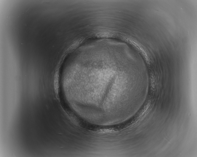 X0000103250586200809111617
