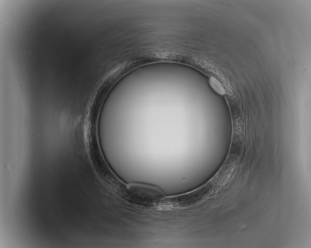 X0000103250587200809111617