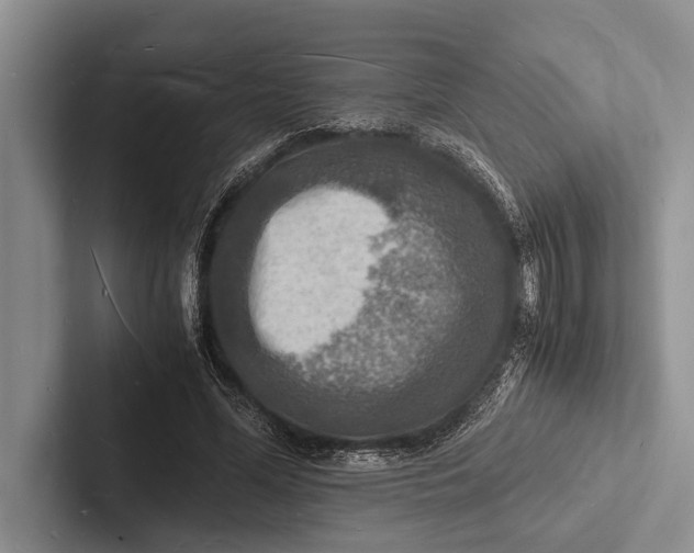 X0000103250588200809111617