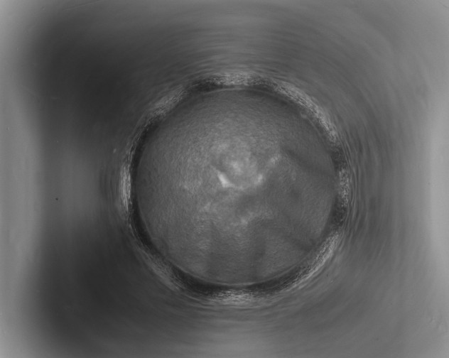 X0000103250589200809111617
