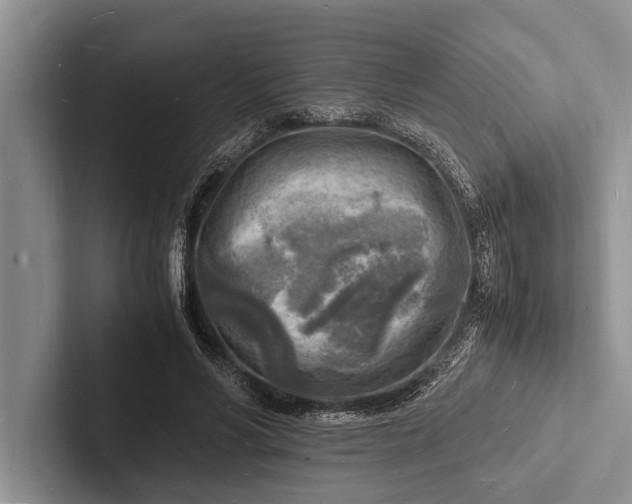 X0000103250590200809111617