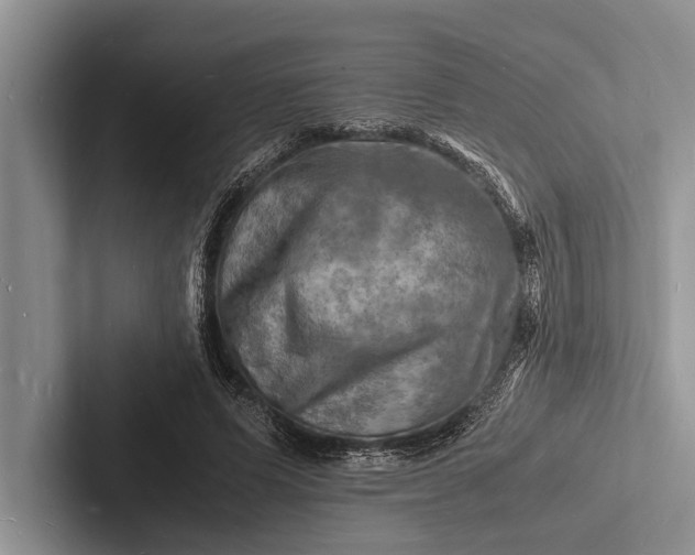 X0000103250591200809111617