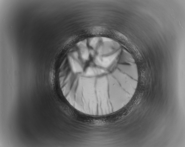 X0000103250592200809111617