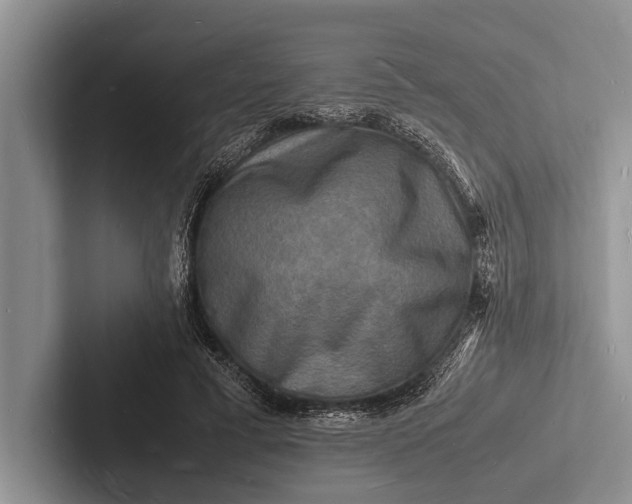 X0000103250593200809111617